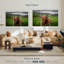 Vache Highland-107937029