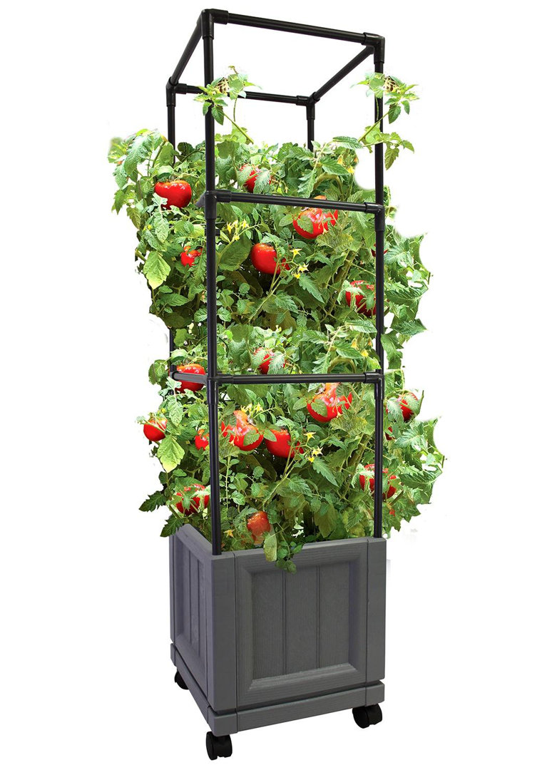 Suliana - Raised Trellis Tower Planter Arlmont & Co.