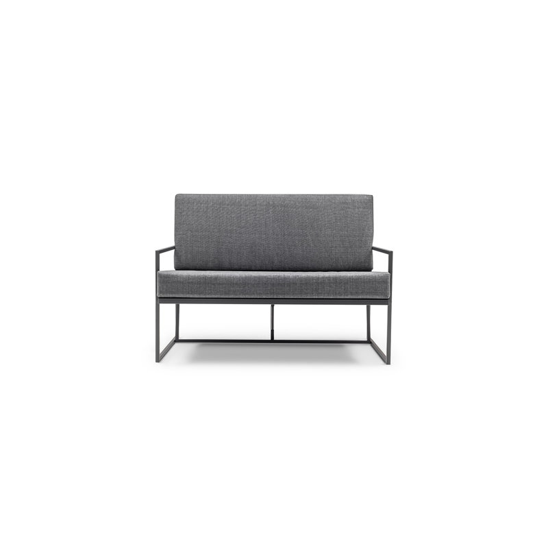 Anibella 124cm Wide Metal Loveseat with Cushions, Grey