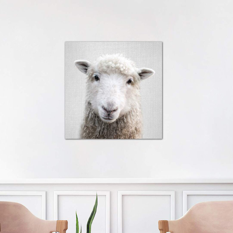 Sheep - Wrapped Canvas Print, 66.04 cm H x 66.04 cm W x 3.175 cm D