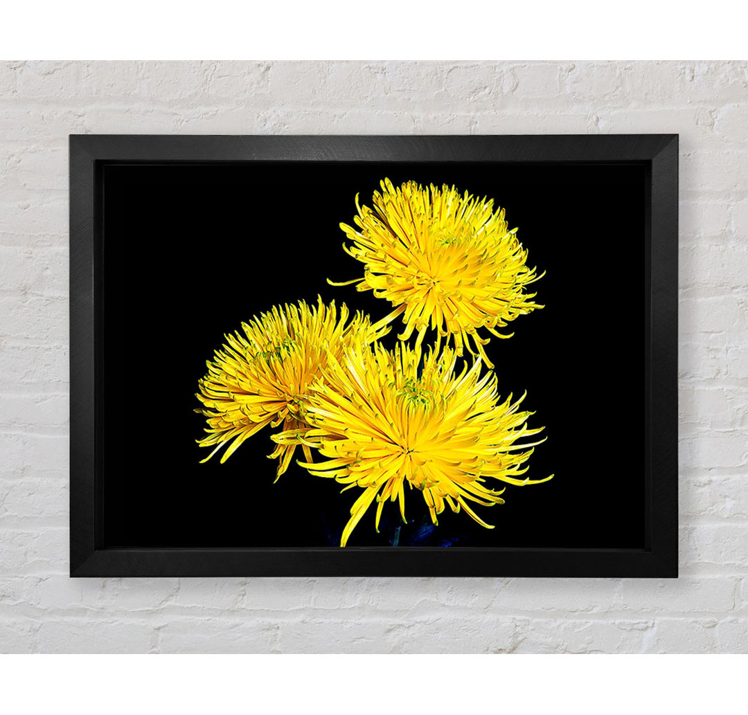 Dandelion Delight - Einzelner Bilderrahmen Kunstdrucke