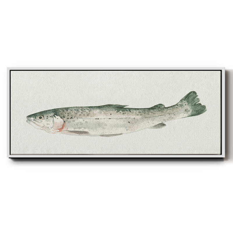 Fresh Catch IV- Framed Canvas, 24" H x 60" W