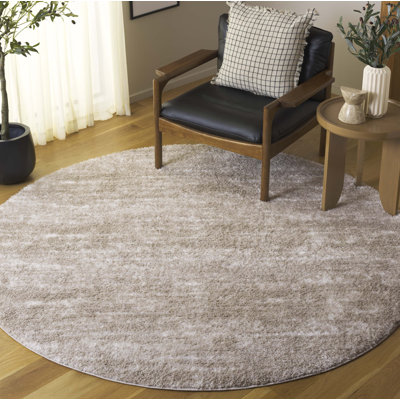 Valierius Penelope Shag Performance Abstract Rug