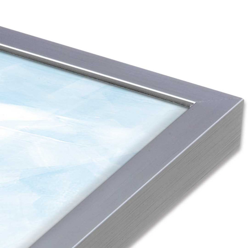 «Shorebirds I» par Diane Kater, reproduction d'art, L 40 x H 30, Argent, Impression encadrée