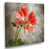 Toile tendue
