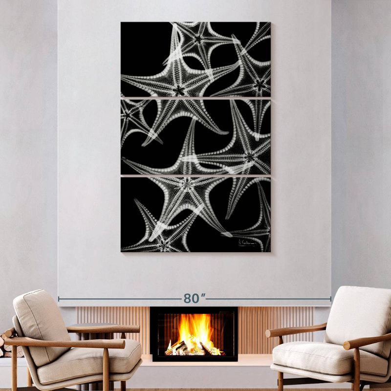 Brampt White Starfish, 74" H x 48" W