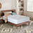 8" Medium Firm Tight Top Fully Assembled Innerspring Double Sided Hybrid Mattress-964092470-964096847