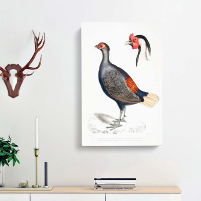 Crested Pheasant Illustration by John Edward Gray - Wrapped Canvas