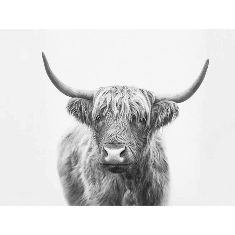 Wrapped Canvas Print, 60.96cm H x 91.44cm W