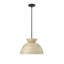 Luminaire suspendu 1 lumière Karlton