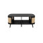 Amanni 1 Piece Coffee Table-1005973567