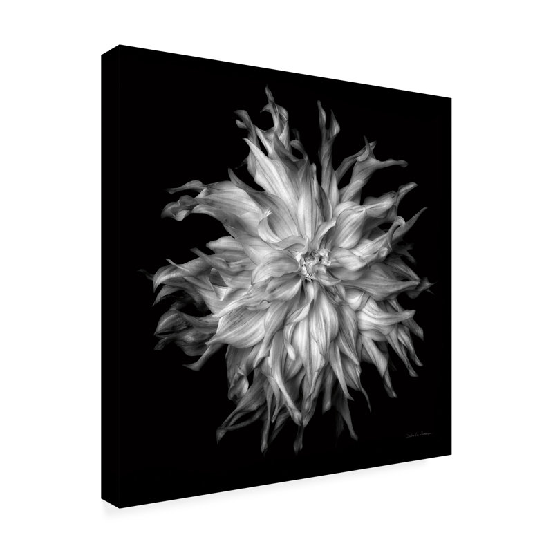 Œuvre d'art sur toile bolognaise, bol, H 18 po x l 18 po, Noir