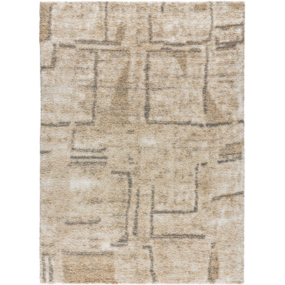 Shag Area Rug