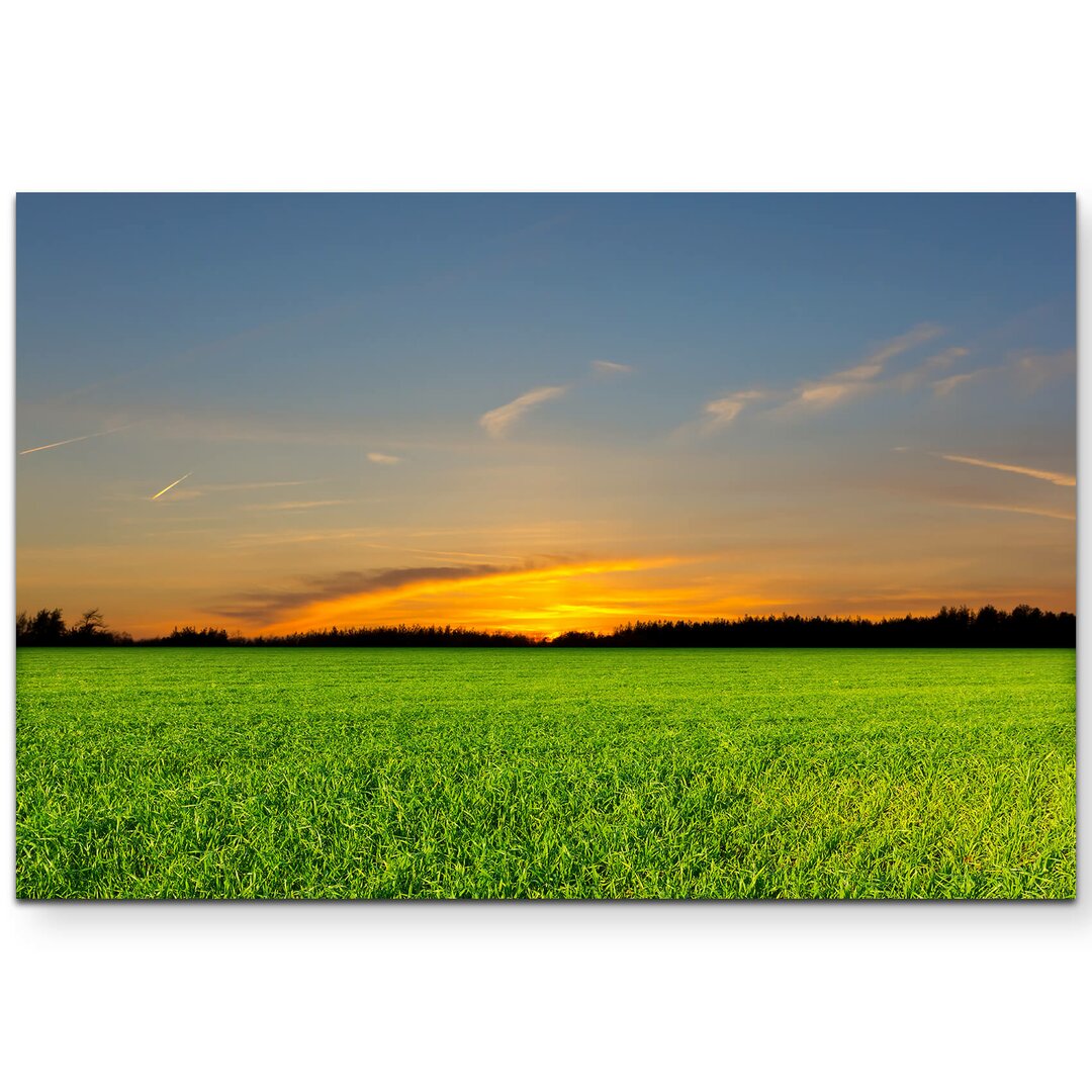 Leinwandbild Grüne Wiese im Sonnenuntergang