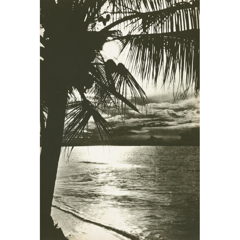 Palm Beach II - photographie sur toile tendue, H 18 po x l 12 po, Non, Toile tendue