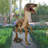 Velociraptor, Jurassic - Sized Dinosaur Statue