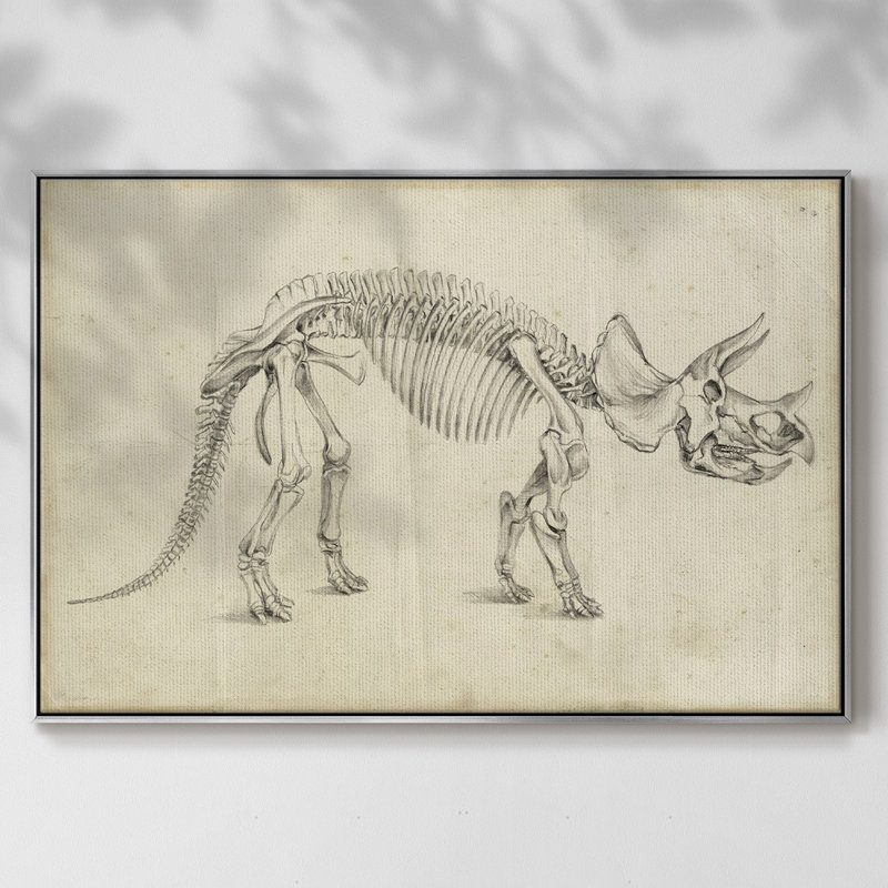 «Dinosaur Study II», reproduction d'art sur toile, H 17 po x l 25 po x P 2 po, Argent
