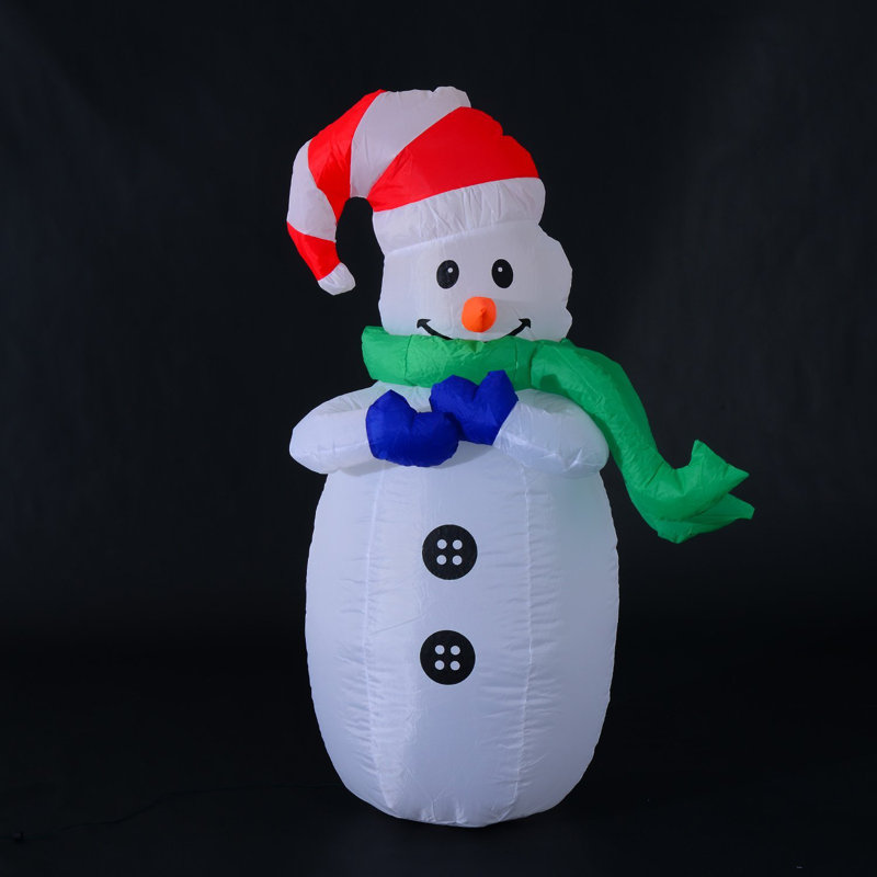Elgin Christmas Decoration