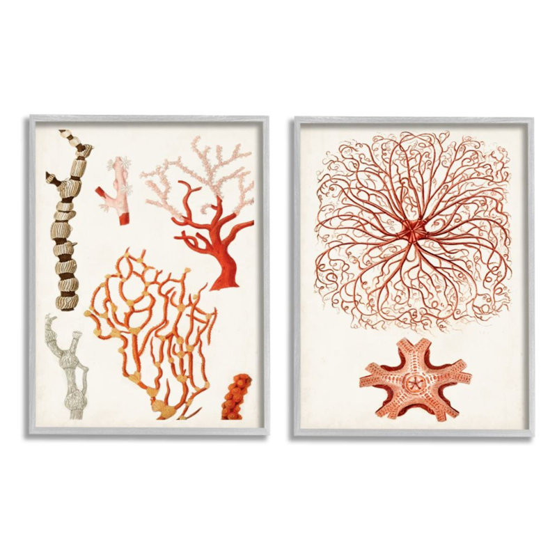«Collage of Unique Ocean Coral Red Brown», ensemble de 2 reproductions d'impressions, H 14 po x l 11 po
