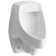 Dexter Siphon-Jet Wall-Mount 1/2 GPF Urinal with Rear Spud