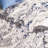 Deylon Performance Abstract Rug-1338914046