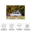 Bolologia, souvenirs d'aventures en famille-98044294