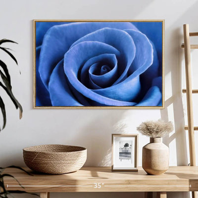 Denim Blue Rose