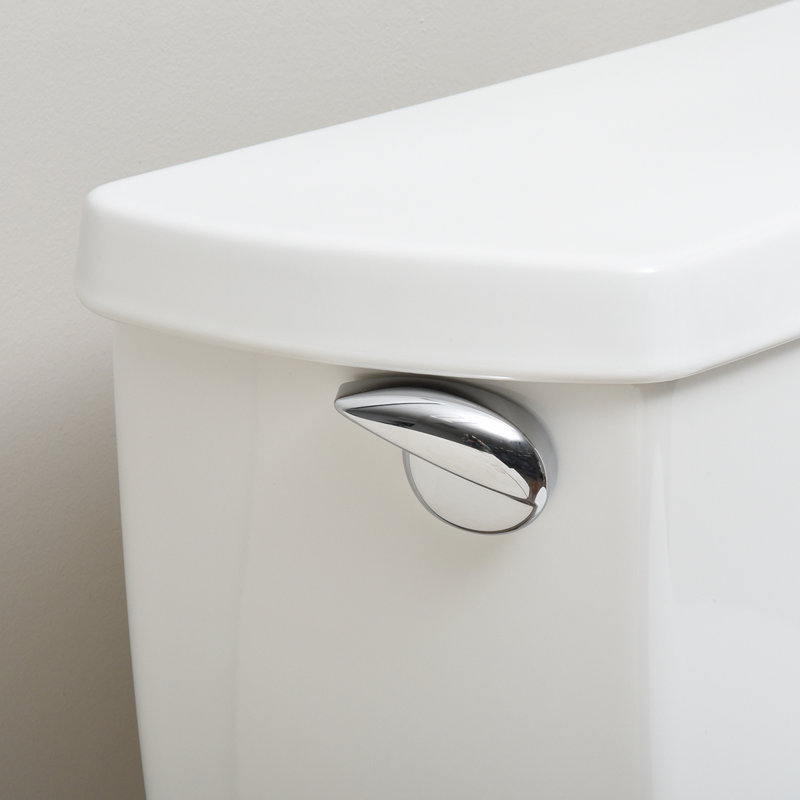 Modern Universal Mount and Toilet Lever