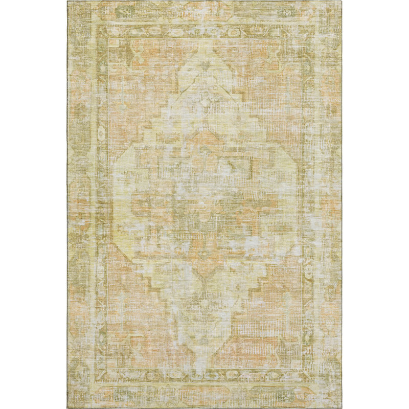 Premium Machine Washable Lucchesi AMF1729 Global Rug, Rectangle 9' x 12'