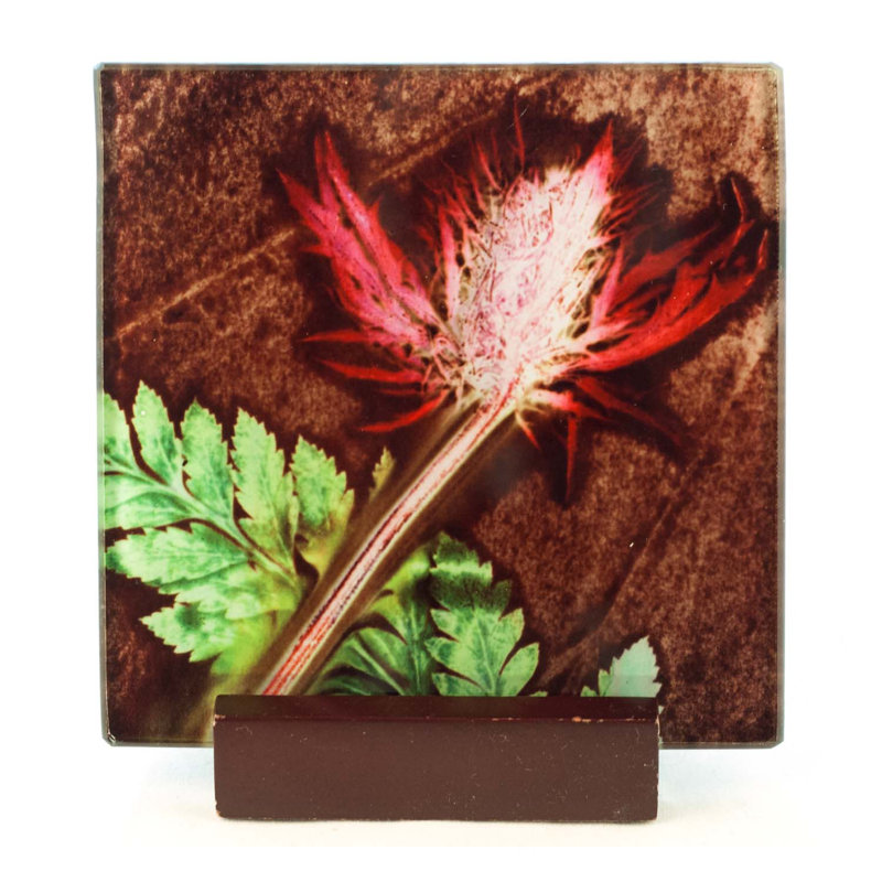 Glass Square 1 Piece Coaster, Earth