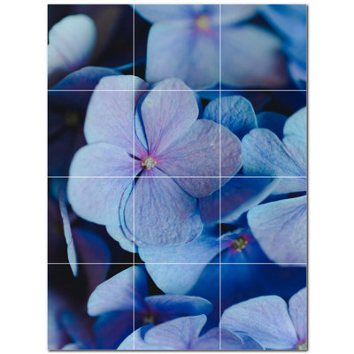 Fleurs photo 6 x 6