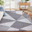 Argus Abstract Area Rug-1667625723