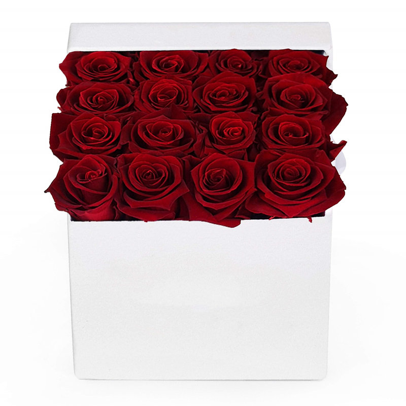 Angellynn Valentine's Day