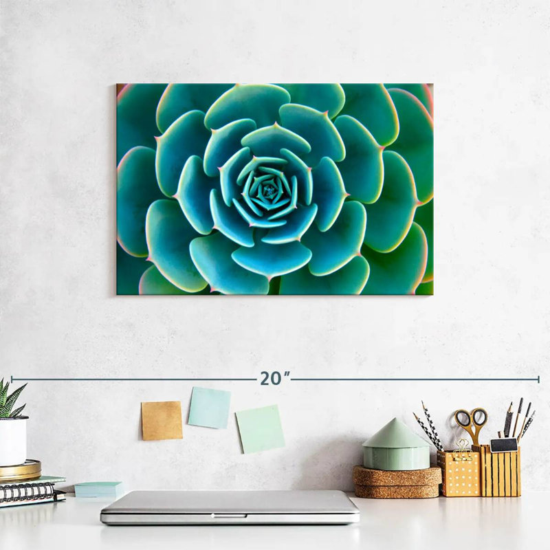«Live Succulent», reproduction sur toile, H 8 po x l 12 po x P 1 po