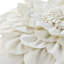  Housse de coussin en velours appliqué-902663168