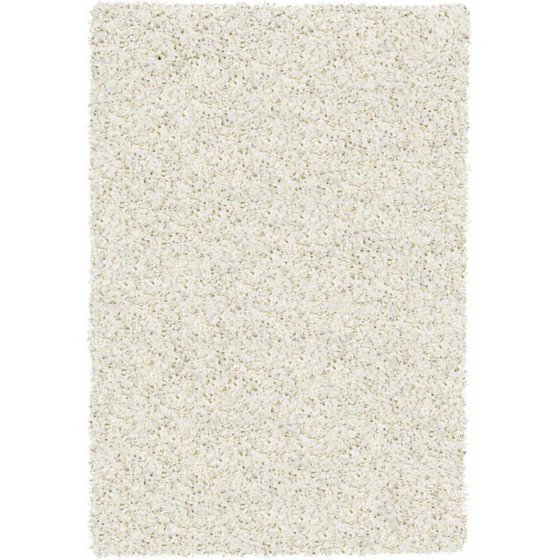 Parsegh Solid Colour Shag Area Rug, Rectangle 200 x 290cm