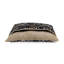 Lit terrier Pendleton-126517498-126517500