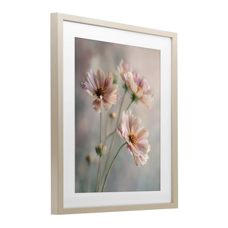 Motif de marguerites roses en gros plan sous verre, design par Franklyn Gregory, 21 x 17, Harvest Pine Under Glass Framed