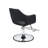 Remsen Faux Leather Salon Styling Chair-272034268
