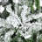 9-Foot Artificial Christmas Tree with Realistic Branches