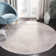 Lapham Performance Oriental Rug