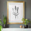 Simplement lavande - Cadre photo, reproduction d'art sur papier-868459017-868459018