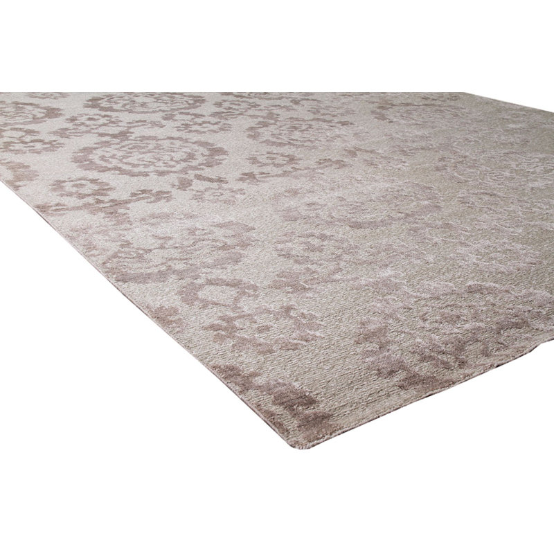 Transitional Hand-Knotted Beige/Light Brown Area Rug