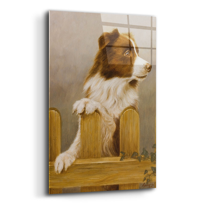 " Brown Collie " by John Silver, 24" H x 16" W x 0.2" D
