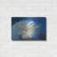 Art mural en métal Beachcrest Home ™ «Lion Fish» par Durwood Coffey-1741654618