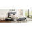 Gray Velvet Upholstered Queen Size Platform Bed. 2 Drawers And Twin Xl Trundle. Stable Build. Enhance Bedroom Organization Bed With Trundle In Gray. Solid Particle Board Frame. Comfortable Foam-1812566220