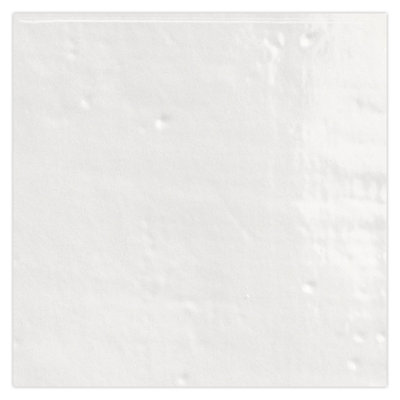 Terralis 2 X 2 In. Glossy Porcelain Square Wall And Floor Tile (0.86 Sq Ft/Case) - 50 Pack