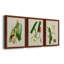 «Elegant Tropicals I», ensemble de 3 reproductions d'art sur toile-530225530-530225531