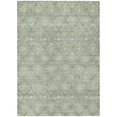 Machine Washable Indoor/Outdoor Xhevrie Aloe Rug