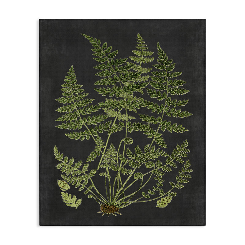 «Botanical Dessin Green Black Design», impression, H 20 po x l 16 po